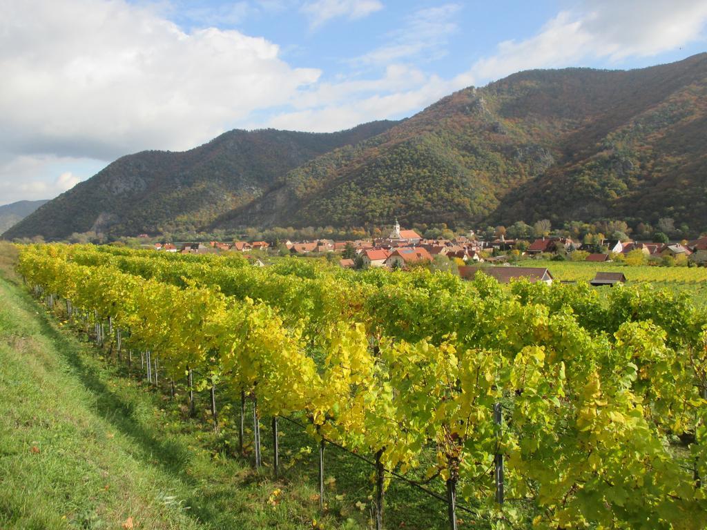 Gaestehaus Rudolf U. Sandra Denk Wosendorf in der Wachau Ngoại thất bức ảnh