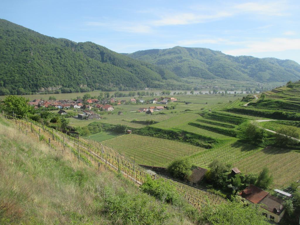 Gaestehaus Rudolf U. Sandra Denk Apartment Wosendorf in der Wachau Ngoại thất bức ảnh