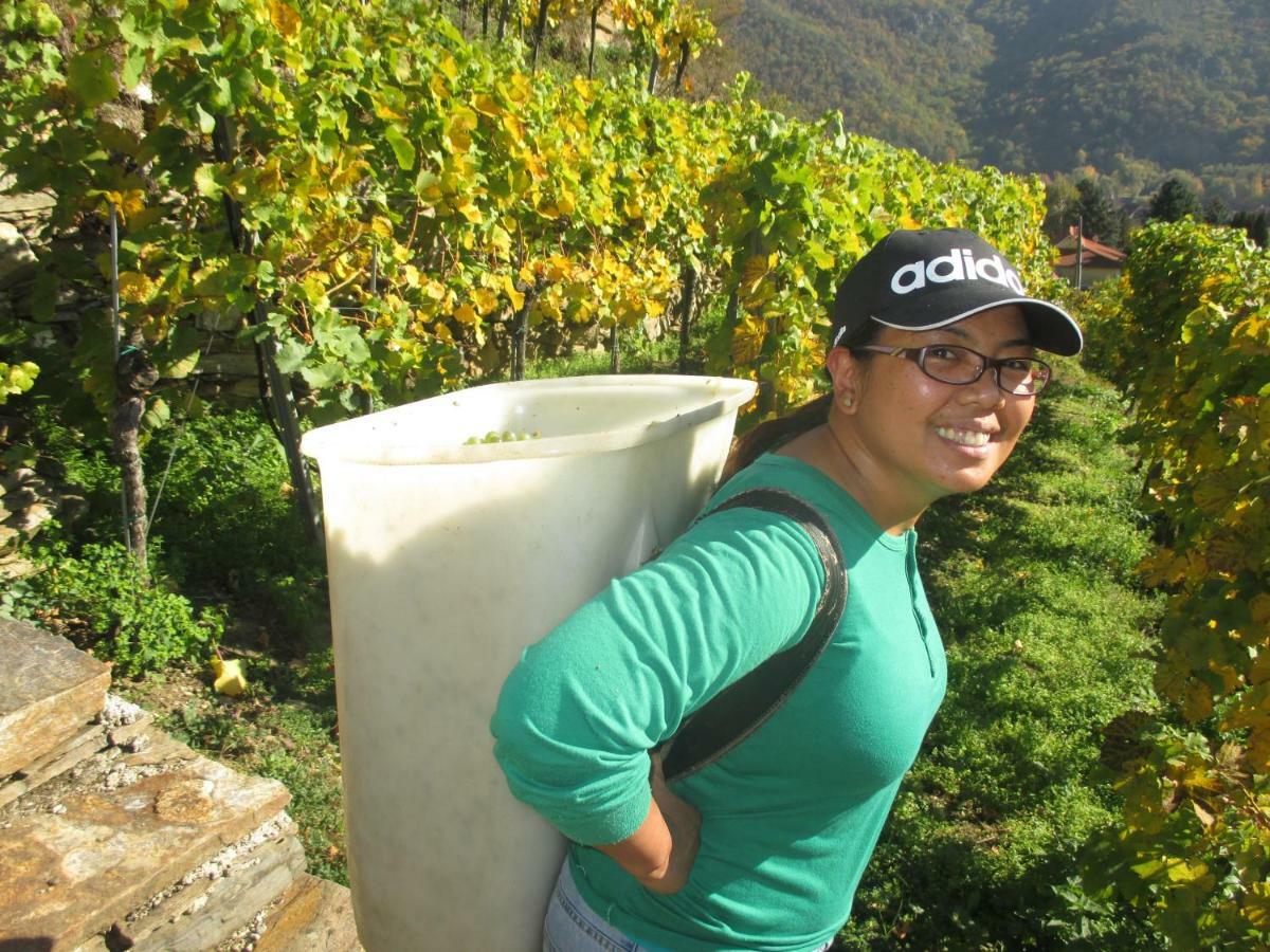 Gaestehaus Rudolf U. Sandra Denk Wosendorf in der Wachau Ngoại thất bức ảnh