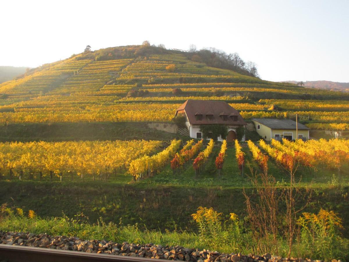 Gaestehaus Rudolf U. Sandra Denk Wosendorf in der Wachau Ngoại thất bức ảnh