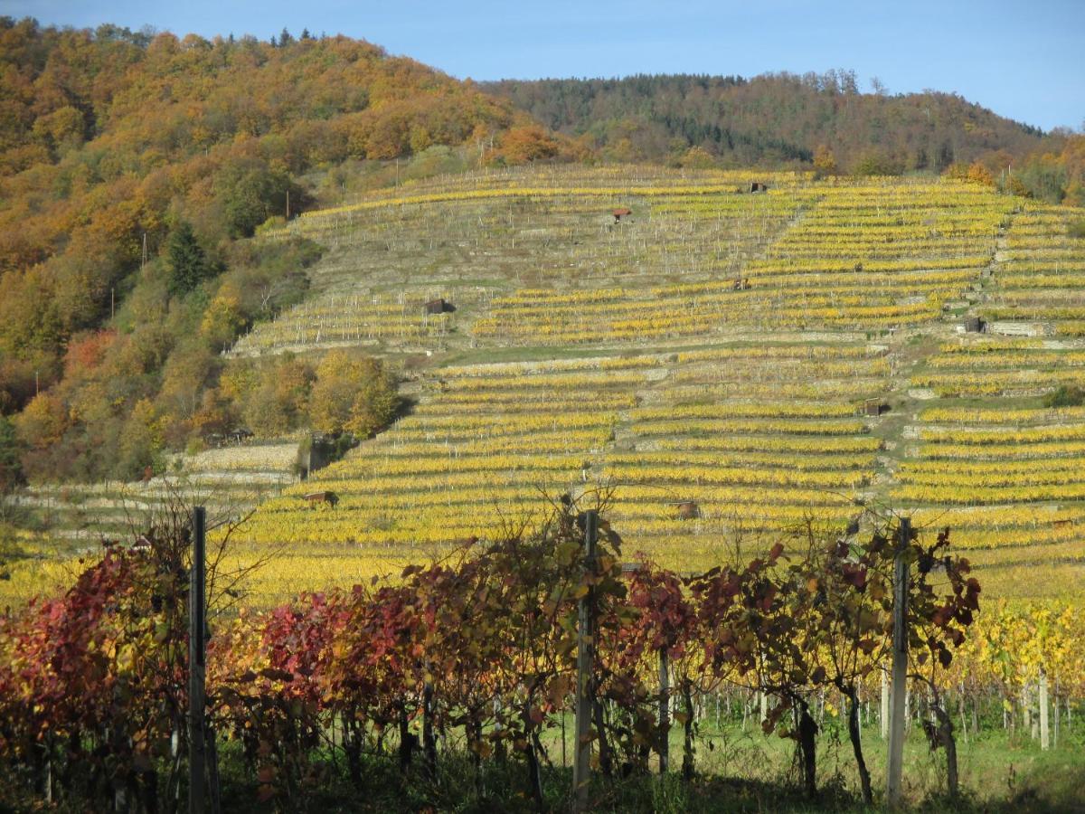 Gaestehaus Rudolf U. Sandra Denk Wosendorf in der Wachau Ngoại thất bức ảnh