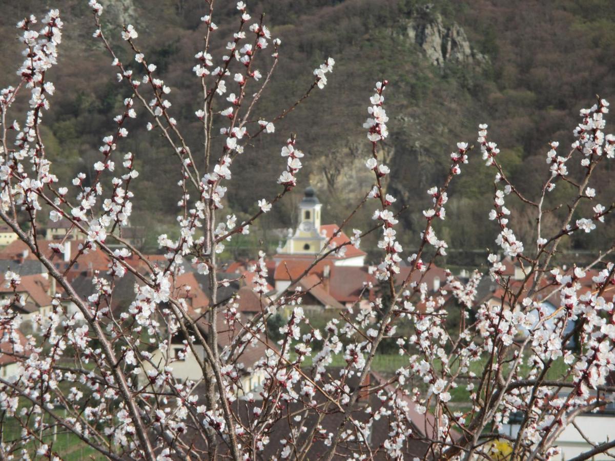 Gaestehaus Rudolf U. Sandra Denk Apartment Wosendorf in der Wachau Ngoại thất bức ảnh