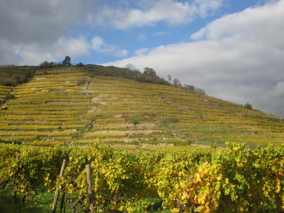 Gaestehaus Rudolf U. Sandra Denk Wosendorf in der Wachau Ngoại thất bức ảnh