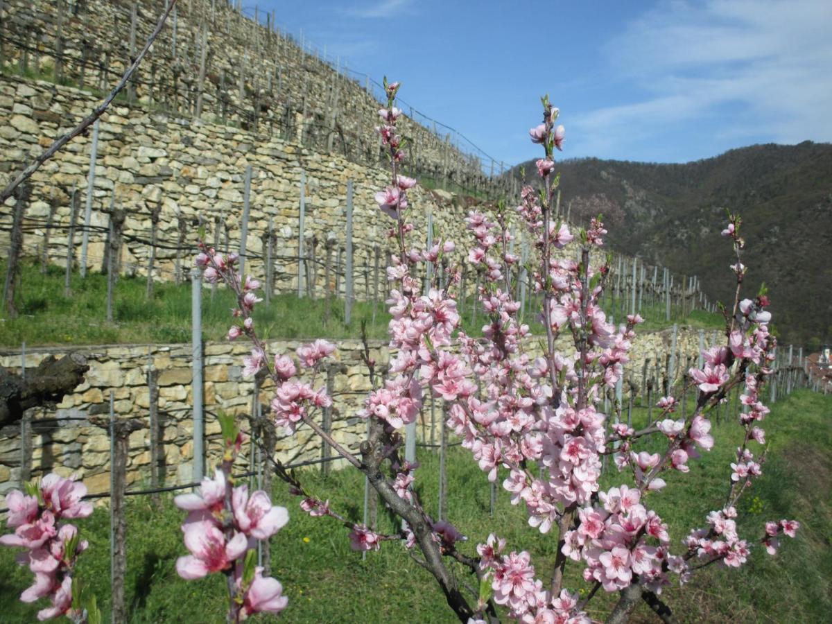 Gaestehaus Rudolf U. Sandra Denk Apartment Wosendorf in der Wachau Ngoại thất bức ảnh