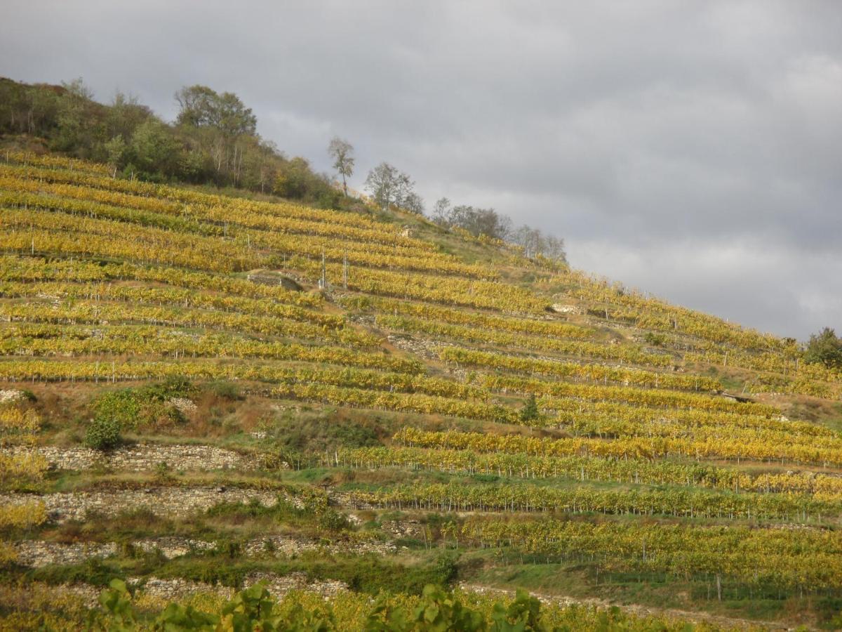 Gaestehaus Rudolf U. Sandra Denk Wosendorf in der Wachau Ngoại thất bức ảnh