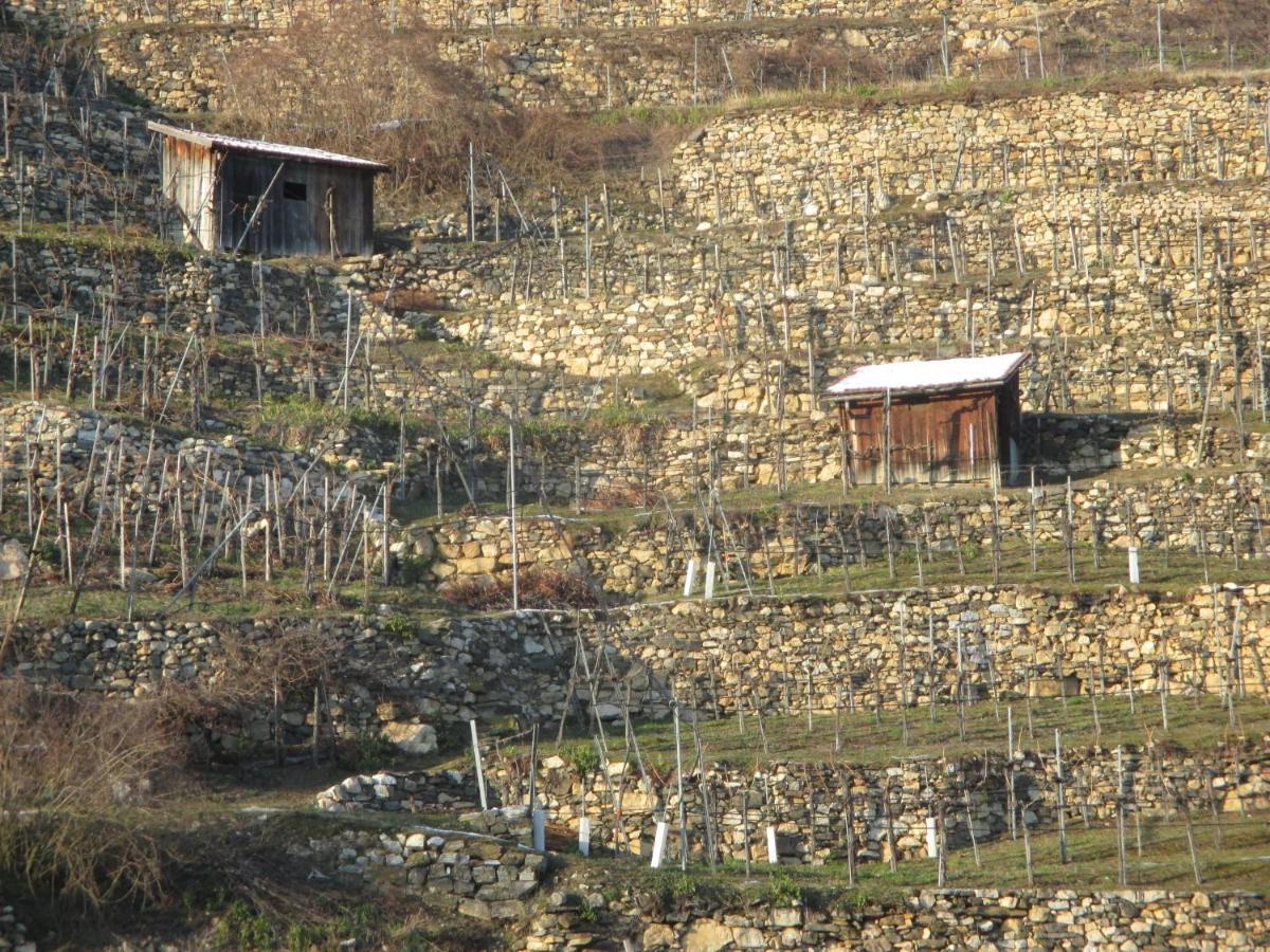 Gaestehaus Rudolf U. Sandra Denk Wosendorf in der Wachau Ngoại thất bức ảnh