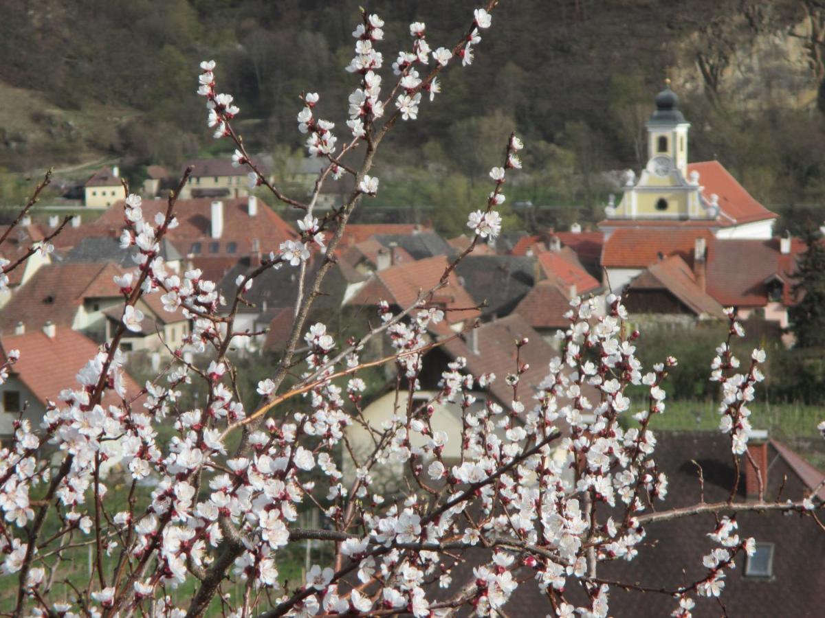 Gaestehaus Rudolf U. Sandra Denk Wosendorf in der Wachau Ngoại thất bức ảnh