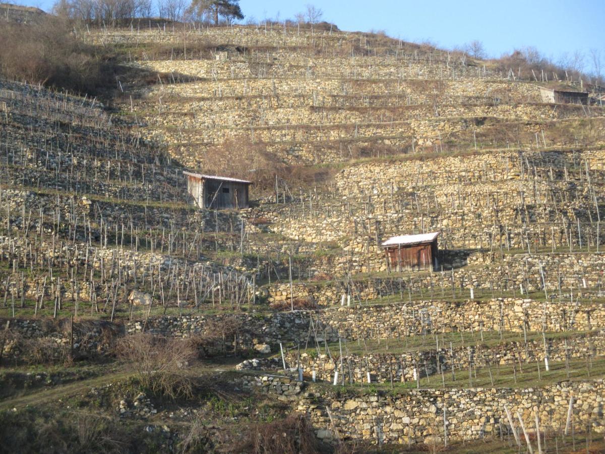 Gaestehaus Rudolf U. Sandra Denk Wosendorf in der Wachau Ngoại thất bức ảnh
