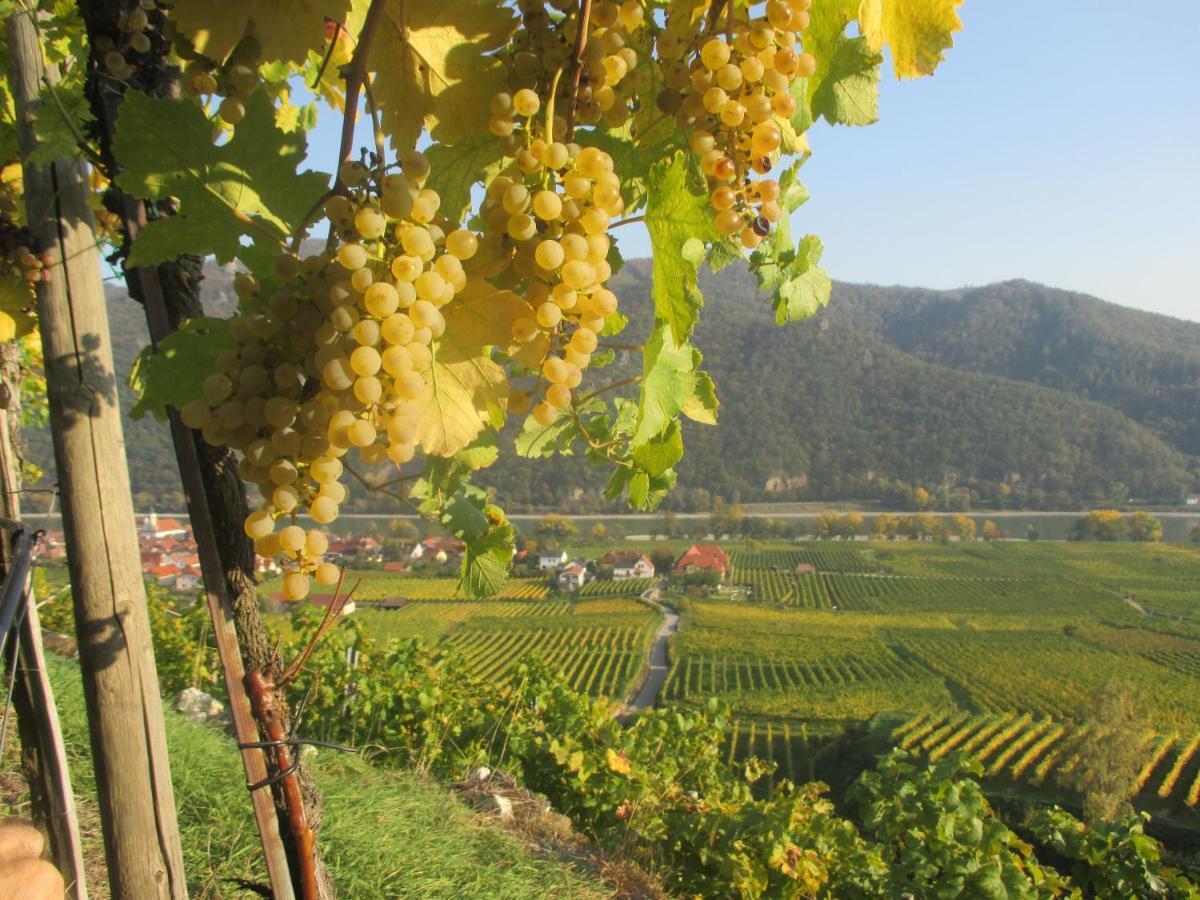 Gaestehaus Rudolf U. Sandra Denk Wosendorf in der Wachau Ngoại thất bức ảnh
